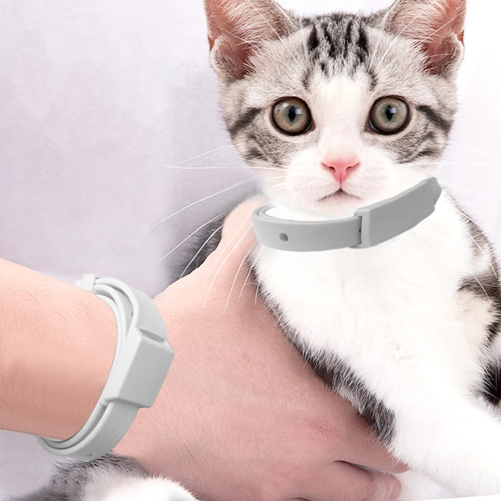 Dogs Collar, Prevention for Dogs and cats , Natural Ingredients & Safe Collar, Adjustable Collar for Dogs from Small
Dogs Collar, Prevention for Dogs and cats , Natural Ingredients & Safe Collar, Adjustable Collar for Dogs from Small