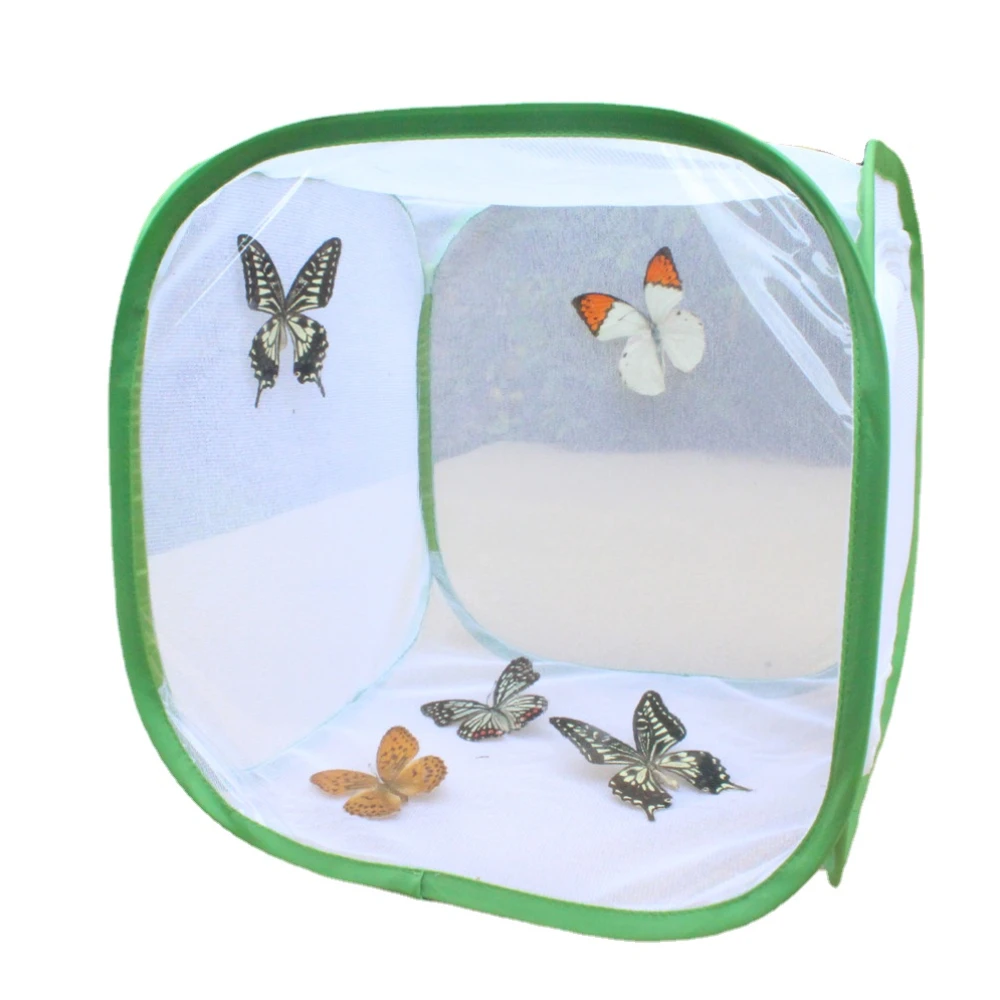 Foldable Insect Butterfly Observation Cage Insect Net Pet Insect Cage Insect Cage Grasshopper Habitat Breeding Incubator Box
Foldable Insect Butterfly Observation Cage Insect Net Pet Insect Cage Insect Cage Grasshopper Habitat Breeding Incubator Box