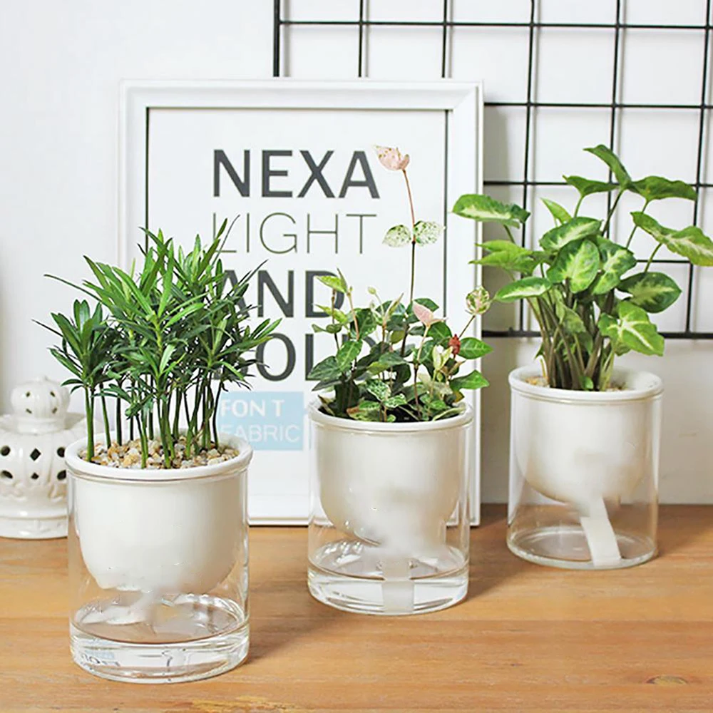 2PCS Self Watering Plant Pots Clear Self Watering Pot Planter For Indoor And Outdoor Plants Flowers Herbs For The Garden
2PCS Self Watering Plant Pots Clear Self Watering Pot Planter For Indoor And Outdoor Plants Flowers Herbs For The Garden