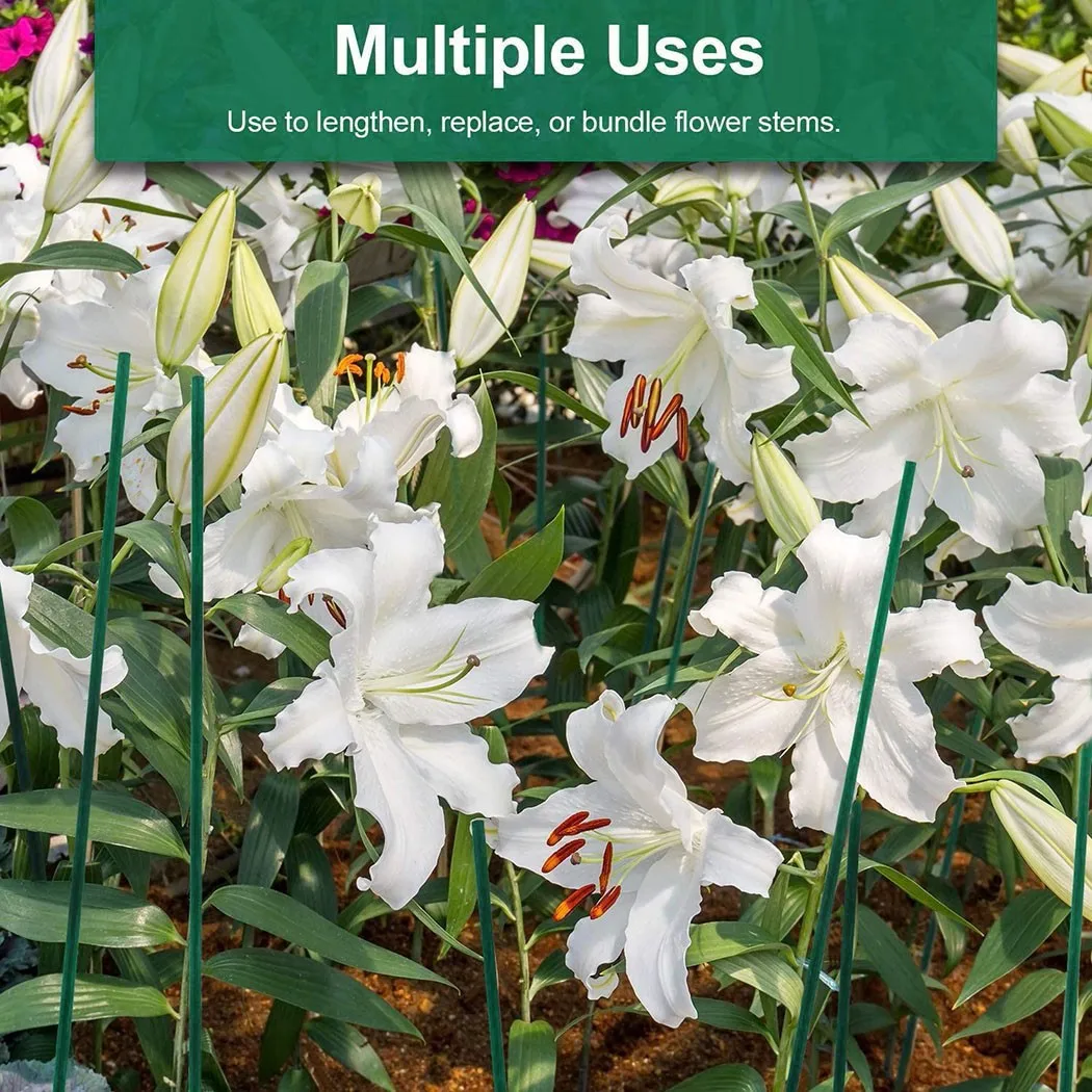 10/20/40pcs Plastic Plant Supports Flower Stand Reusable Protection Fixing Tool Gardening Supplies For Vegetable Holder Bracket
10/20/40pcs Plastic Plant Supports Flower Stand Reusable Protection Fixing Tool Gardening Supplies For Vegetable Holder Bracket