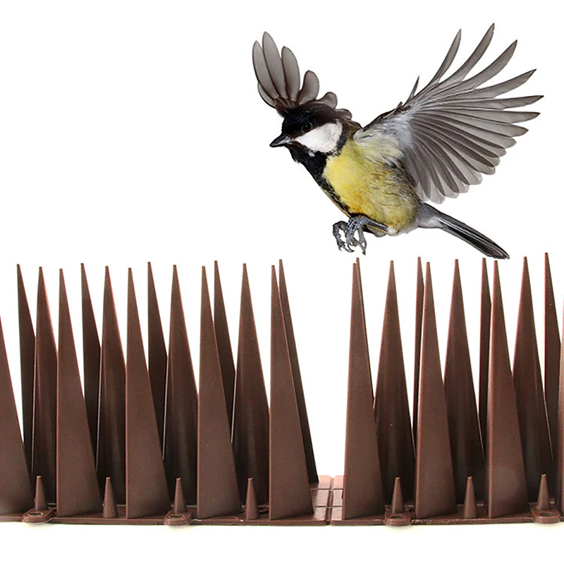 1Pc Practical Bird Spike Wall Fence Guards Yard Bird Spikes For Anti Climbing Security On Wall Window Railing Garden Supplies
1Pc Practical Bird Spike Wall Fence Guards Yard Bird Spikes For Anti Climbing Security On Wall Window Railing Garden Supplies