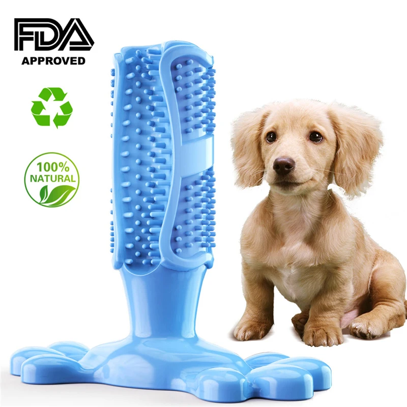Dog Cactus Interactive Rubber Chew Toys For Small Large Dogs Tooth Cleaning Toothbrush For Small Large Dogs Treat Dispenser Pet
Dog Cactus Interactive Rubber Chew Toys For Small Large Dogs Tooth Cleaning Toothbrush For Small Large Dogs Treat Dispenser Pet