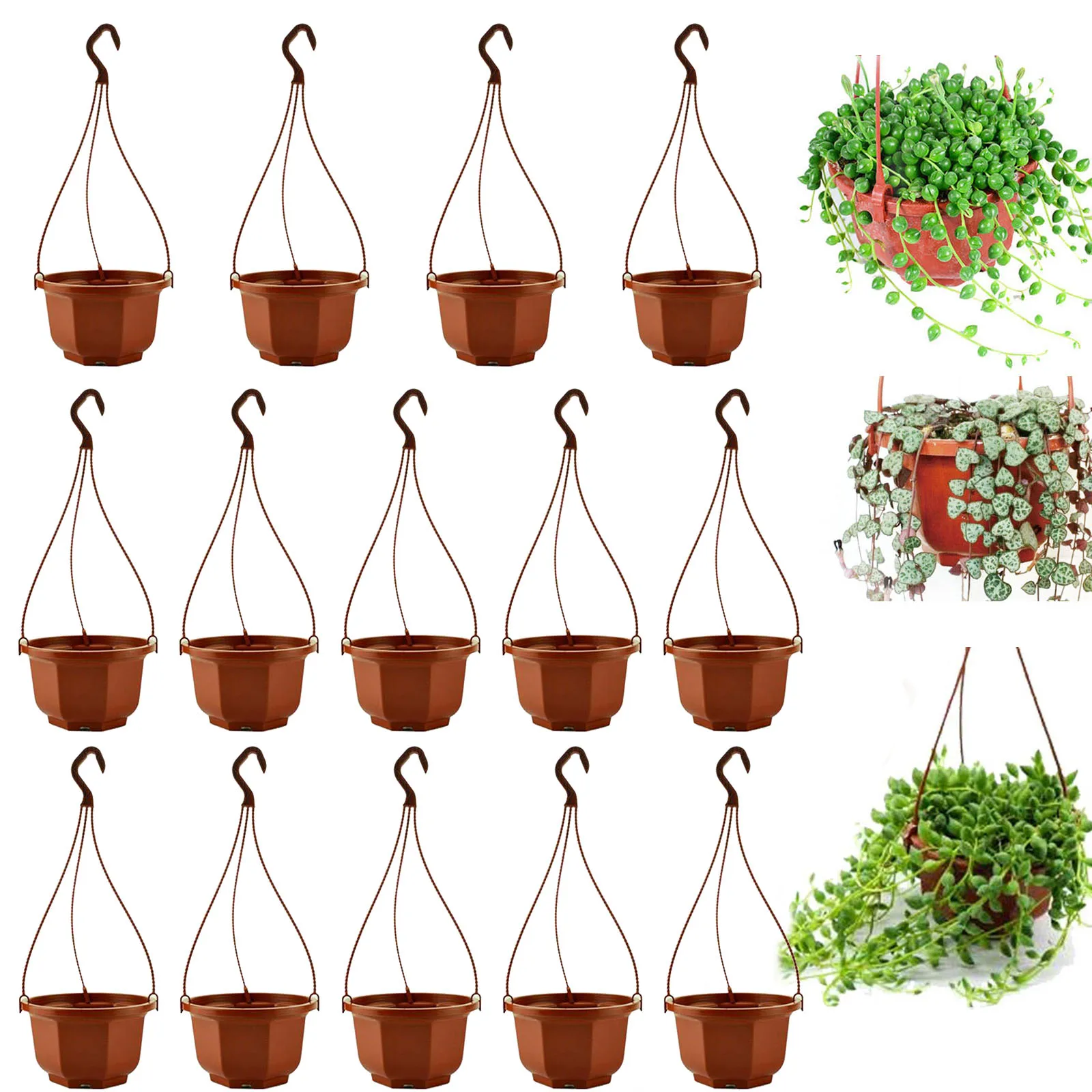 Chain Plant Basket Flower Pot 14pcs Accessories Artificial Flowers Balcony Decor Hanging Balcony Outdoor Indoor
Chain Plant Basket Flower Pot 14pcs Accessories Artificial Flowers Balcony Decor Hanging Balcony Outdoor Indoor