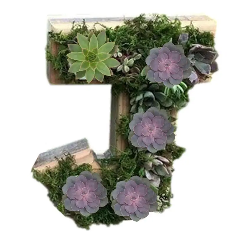Creative Succulent Pots Letter Succulent Planter Succulent Planter Pots Wooden Plant Container Mini Flower Cactus Pot Garden
Creative Succulent Pots Letter Succulent Planter Succulent Planter Pots Wooden Plant Container Mini Flower Cactus Pot Garden