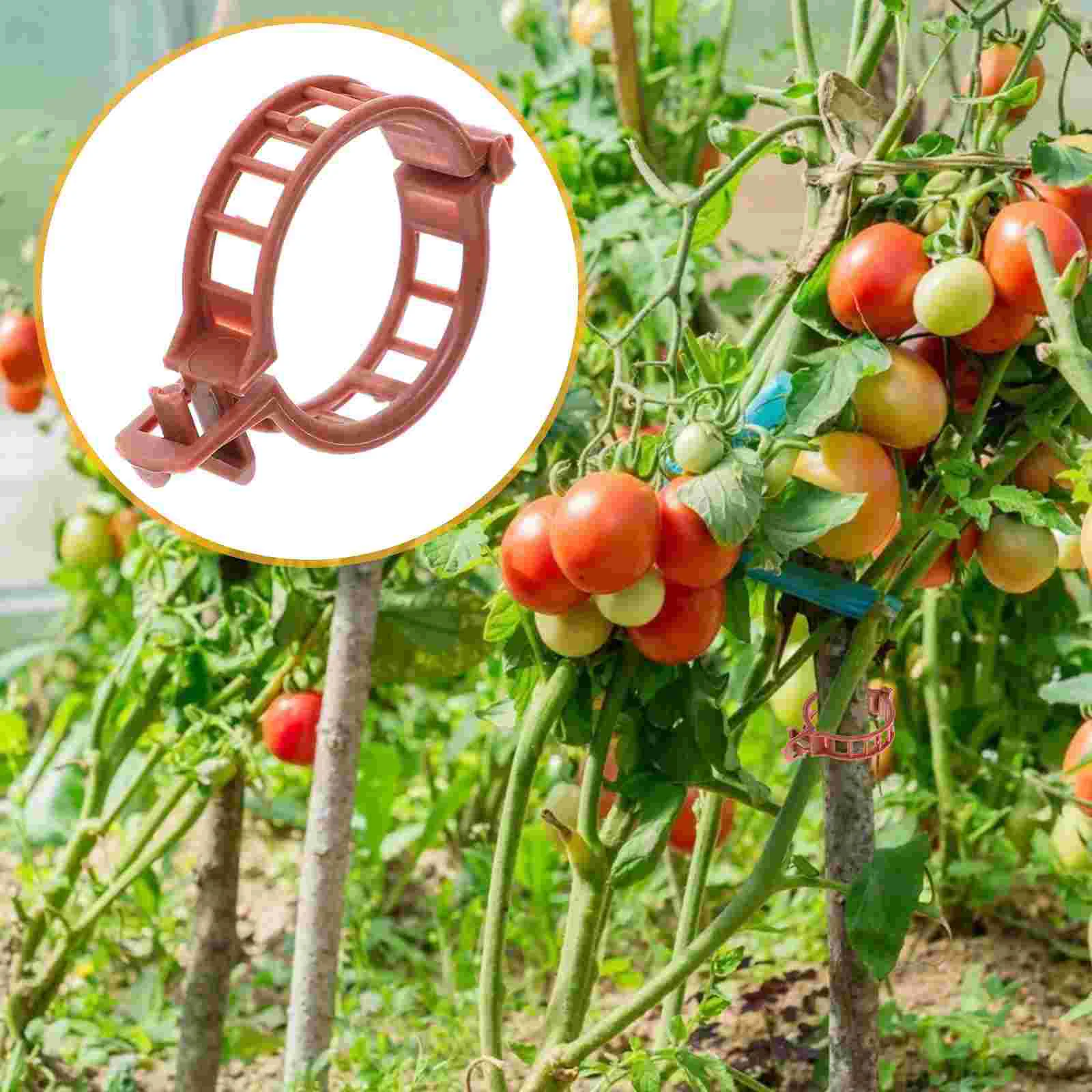

100 Pcs Clips Flower Tomato Stem Supports Cucamelon Plants Bracket Plastic Greenhouse Cucumber Pergola brackets