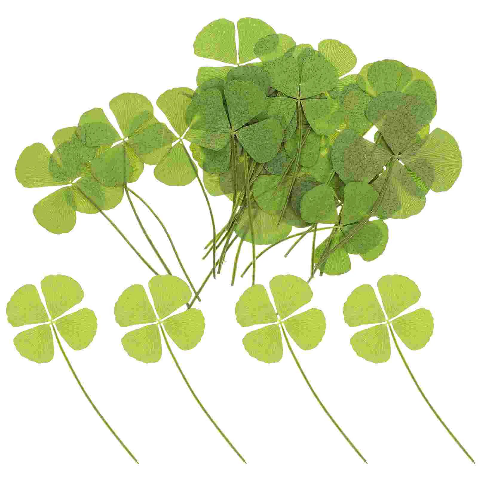 24pcs Pressed Dried Flowers Four Leaf for Craft DIY Resin Jewelry Necklace Bracelet Making
24pcs Pressed Dried Flowers Four Leaf for Craft DIY Resin Jewelry Necklace Bracelet Making