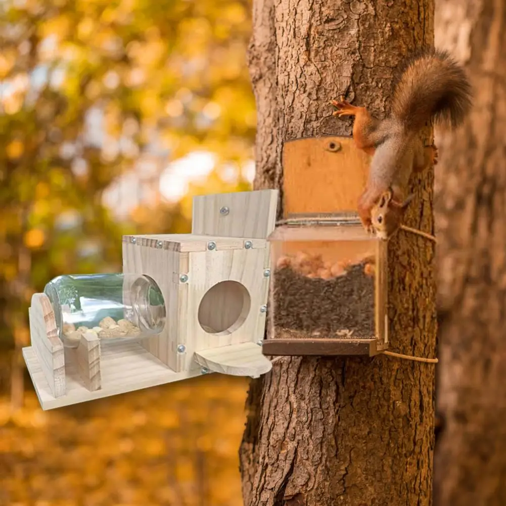 Heavy Duty Squirrel Feeder Outdoor Garden Squirrel Feeder Heavy Duty Weather-proof Device with 500ml Capacity for Easy Refill
Heavy Duty Squirrel Feeder Outdoor Garden Squirrel Feeder Heavy Duty Weather-proof Device with 500ml Capacity for Easy Refill