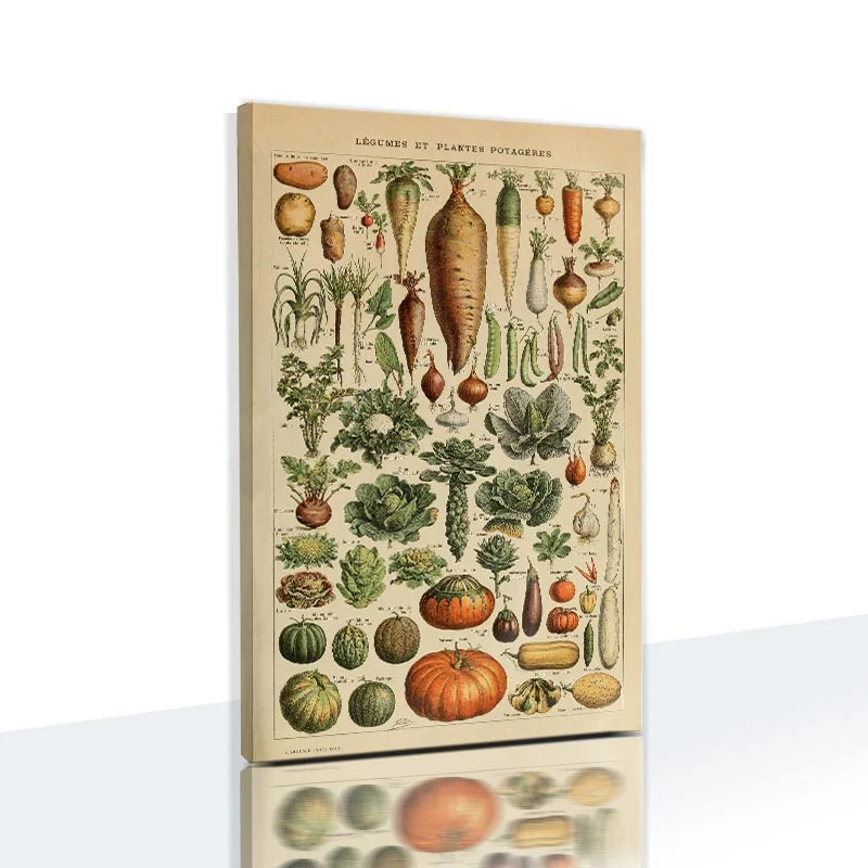 Animals and Plants Education Posters Butterfly Posters and Prints Fruits Canvas Paintings Vegetables Pictures Metal Wall Signs
Animals and Plants Education Posters Butterfly Posters and Prints Fruits Canvas Paintings Vegetables Pictures Metal Wall Signs