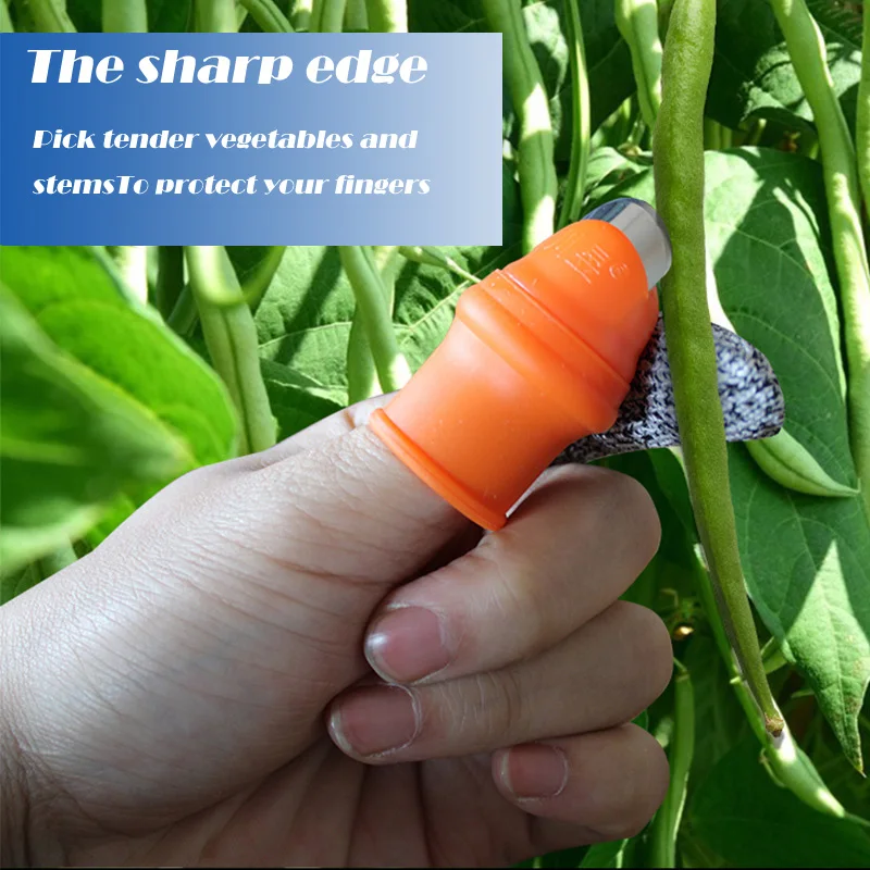 Silicone Picking Artifact Pinch Tip Special Iron Nails Agricultural Pruning Picking Vegetable Protector Thumb Scissors Gloves
Silicone Picking Artifact Pinch Tip Special Iron Nails Agricultural Pruning Picking Vegetable Protector Thumb Scissors Gloves
