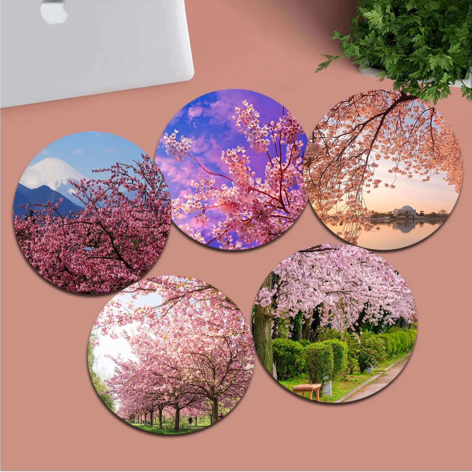 Cherry Blossom Round Custom Skin Big Promotion Table Mat Student Mousepad Computer Keyboard Pad Games Pad Desktop Mat
Cherry Blossom Round Custom Skin Big Promotion Table Mat Student Mousepad Computer Keyboard Pad Games Pad Desktop Mat