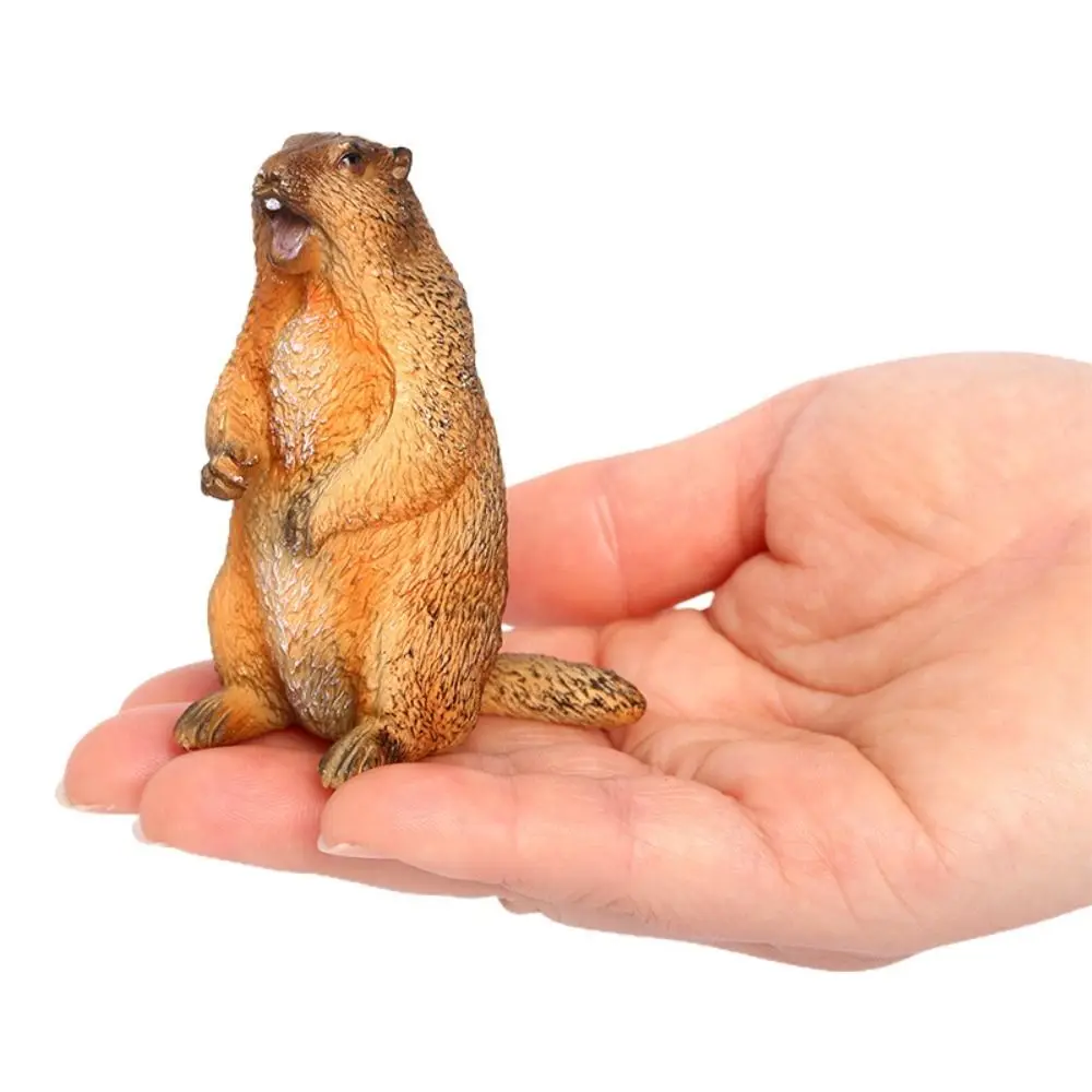Фигурка сурка Marmot из пластика 
Фигурка сурка Marmot из пластика