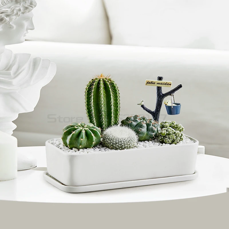 Cactus combination potted indoor succulent plant desktop green plant creative potted cactus
Cactus combination potted indoor succulent plant desktop green plant creative potted cactus