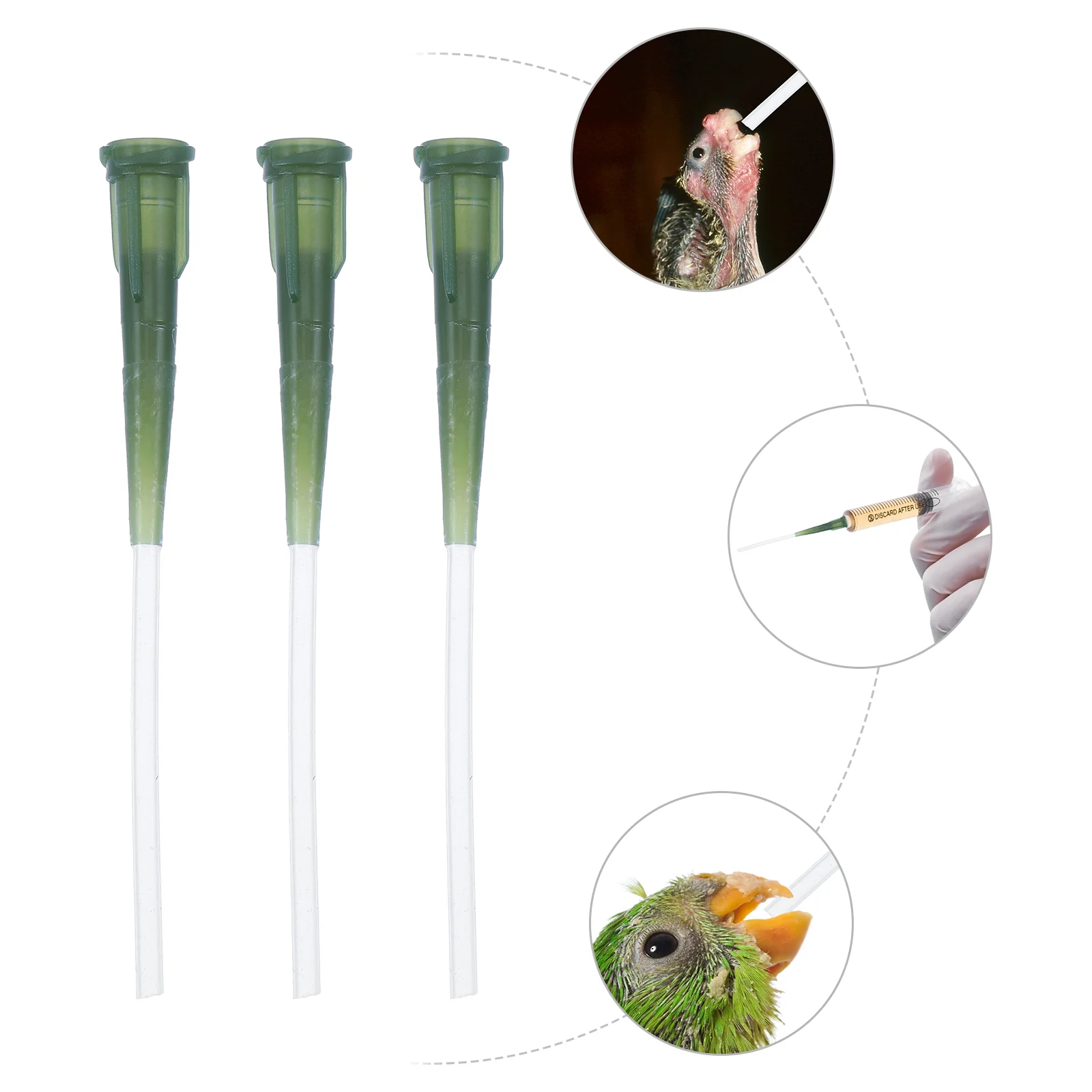 Feeding Birds Hose Bird Baby Syringe Feeder Parrot Tubes Accessory Tool Animals Water Dropper Supply Kit Budgie Parts Device 
Feeding Birds Hose Bird Baby Syringe Feeder Parrot Tubes Accessory Tool Animals Water Dropper Supply Kit Budgie Parts Device