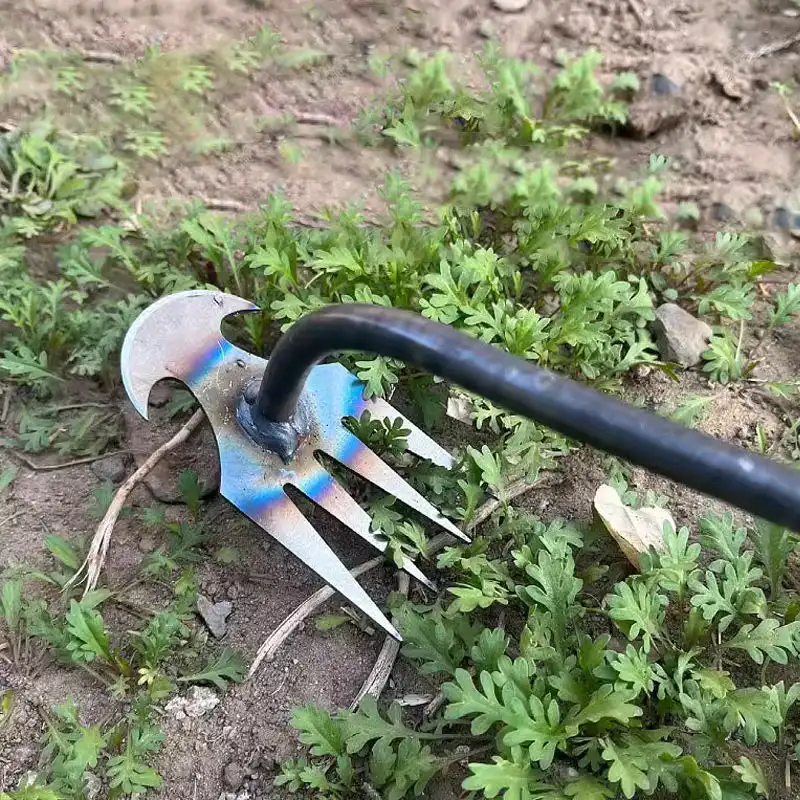 Manganese Steel Garden Weeders Grass Rooting Loose Soil Hand Weeding Removal Puller Gardening Tools Multifunctional Weeder
Manganese Steel Garden Weeders Grass Rooting Loose Soil Hand Weeding Removal Puller Gardening Tools Multifunctional Weeder