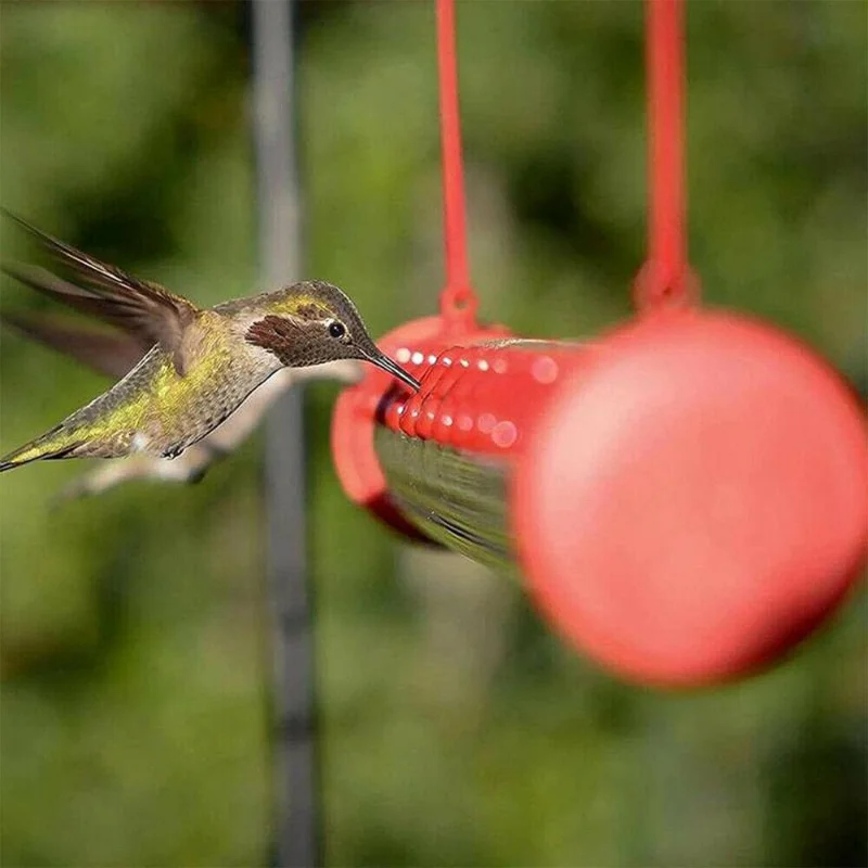 Outdoors Hanging Hummingbird Feeders Red Transparent Tube Garden Decorations Bird Supplies Bird Feeding Pipe Tube
Outdoors Hanging Hummingbird Feeders Red Transparent Tube Garden Decorations Bird Supplies Bird Feeding Pipe Tube