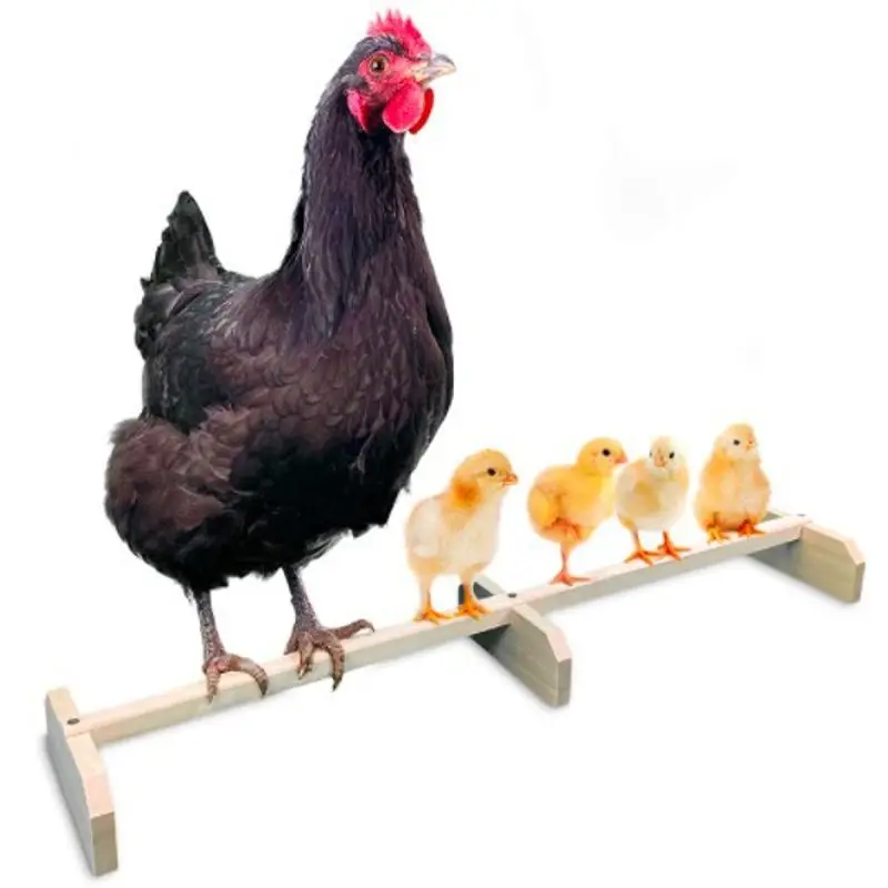 Perch Shelf Lightweight Balancing Hen Standing Frame Non-slip Chicken Stand Frame Wood Small Pets Standing Frame
Perch Shelf Lightweight Balancing Hen Standing Frame Non-slip Chicken Stand Frame Wood Small Pets Standing Frame