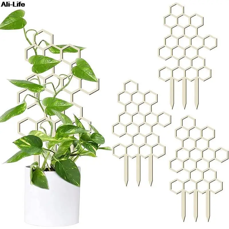 Wooden Honeycomb Plant Climbing Stand Creative Lattice Climbing Plant Stand Horticultural Potting Stand Fixed Support Pole
Wooden Honeycomb Plant Climbing Stand Creative Lattice Climbing Plant Stand Horticultural Potting Stand Fixed Support Pole