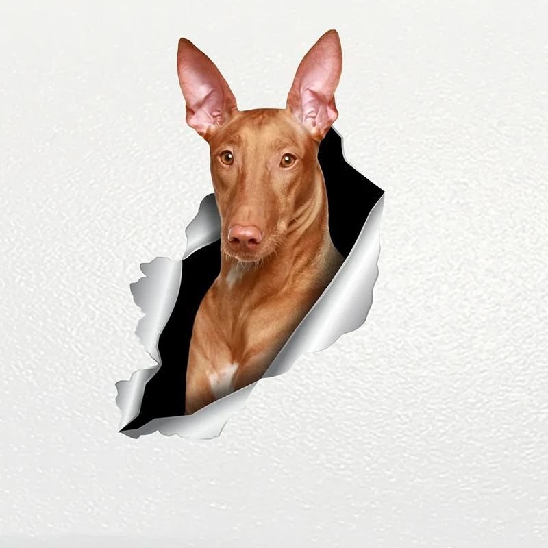 V1127# Car Sticker Pharaoh Hound Dog Pet Waterproof Vinyl Decal Car Accessories Pegatinas Para Coche DIY Car Styling
V1127# Car Sticker Pharaoh Hound Dog Pet Waterproof Vinyl Decal Car Accessories Pegatinas Para Coche DIY Car Styling