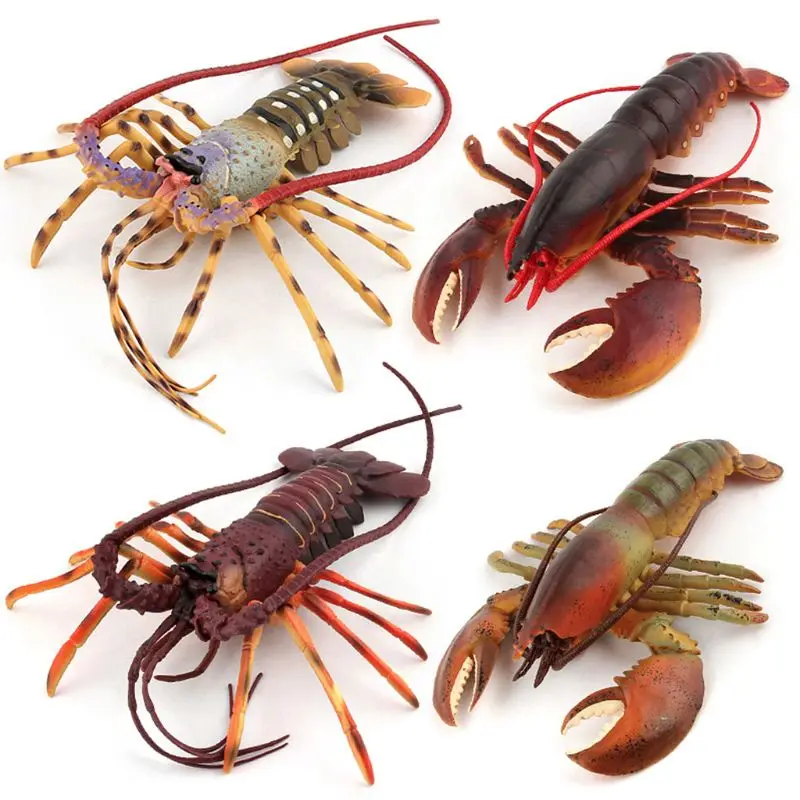 Realistic Lobster Model Fish Figurine Fancy Aquarium Supplies Miniature PVC Statue Classroom Props Supplies Science Toy
Realistic Lobster Model Fish Figurine Fancy Aquarium Supplies Miniature PVC Statue Classroom Props Supplies Science Toy