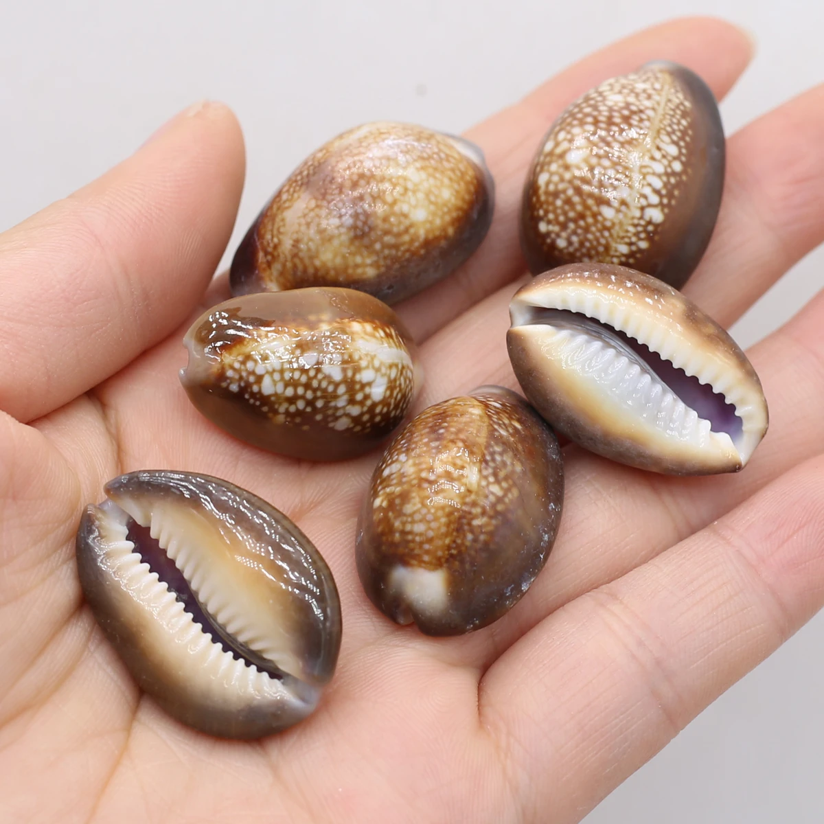 100g Natural Sea Shells Coquillage Beach Marine Style Decor Craft Jewellery DIY Charms For Jewelry Making Earrings Accessories
100g Natural Sea Shells Coquillage Beach Marine Style Decor Craft Jewellery DIY Charms For Jewelry Making Earrings Accessories
