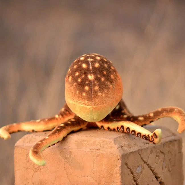 plush gift simulation doll simulation animal plush toy octopus 
plush gift simulation doll simulation animal plush toy octopus