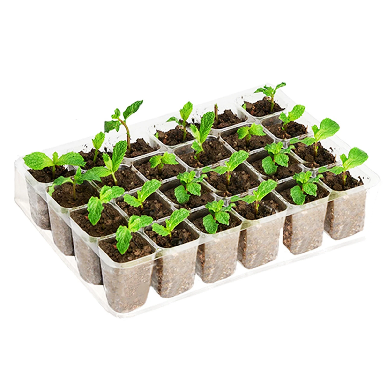 5 Pcs Seed Starter Tray Adjustable Humidity Indoor Planting Pots with Lid Seed Germination Disc Potted 24 Grid with Growth Label
5 Pcs Seed Starter Tray Adjustable Humidity Indoor Planting Pots with Lid Seed Germination Disc Potted 24 Grid with Growth Label