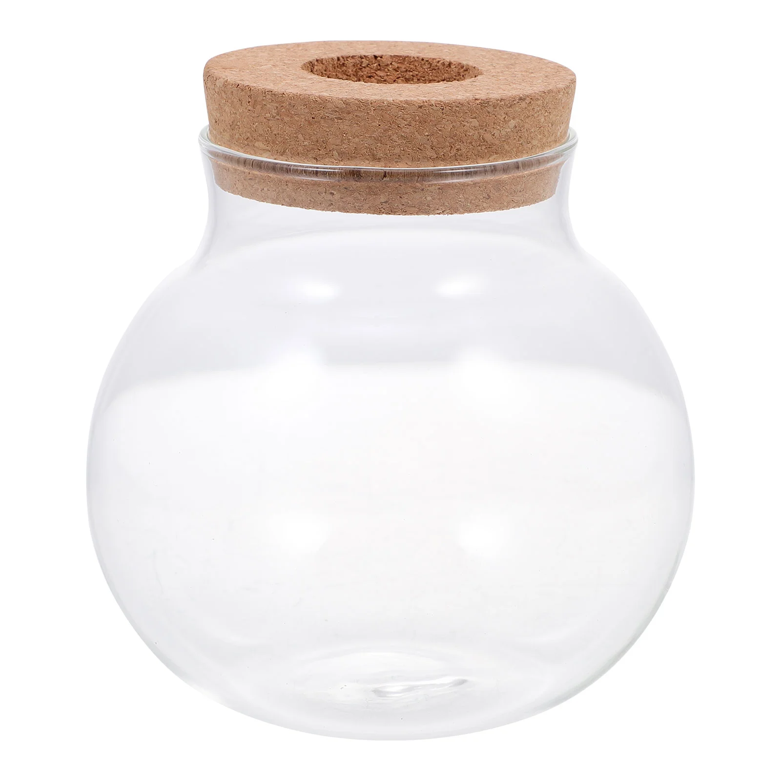 Clear Globe Vase Hydroponic Vase Water Planting Glass Vase Clear Vases Fish Tank Decorate Clear Terrarium
Clear Globe Vase Hydroponic Vase Water Planting Glass Vase Clear Vases Fish Tank Decorate Clear Terrarium