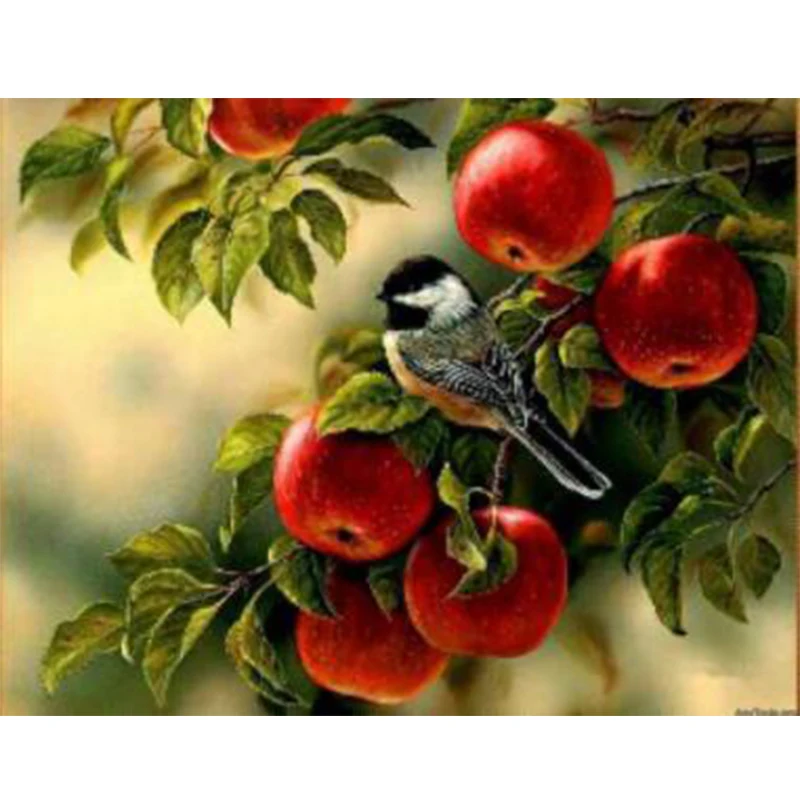 Full Acrylic 5D DIY Diamond Painting Bird with Apple Picture of Embroidery Drill Cross Stitch Mosaic Painting Home Decoration
Full Acrylic 5D DIY Diamond Painting Bird with Apple Picture of Embroidery Drill Cross Stitch Mosaic Painting Home Decoration