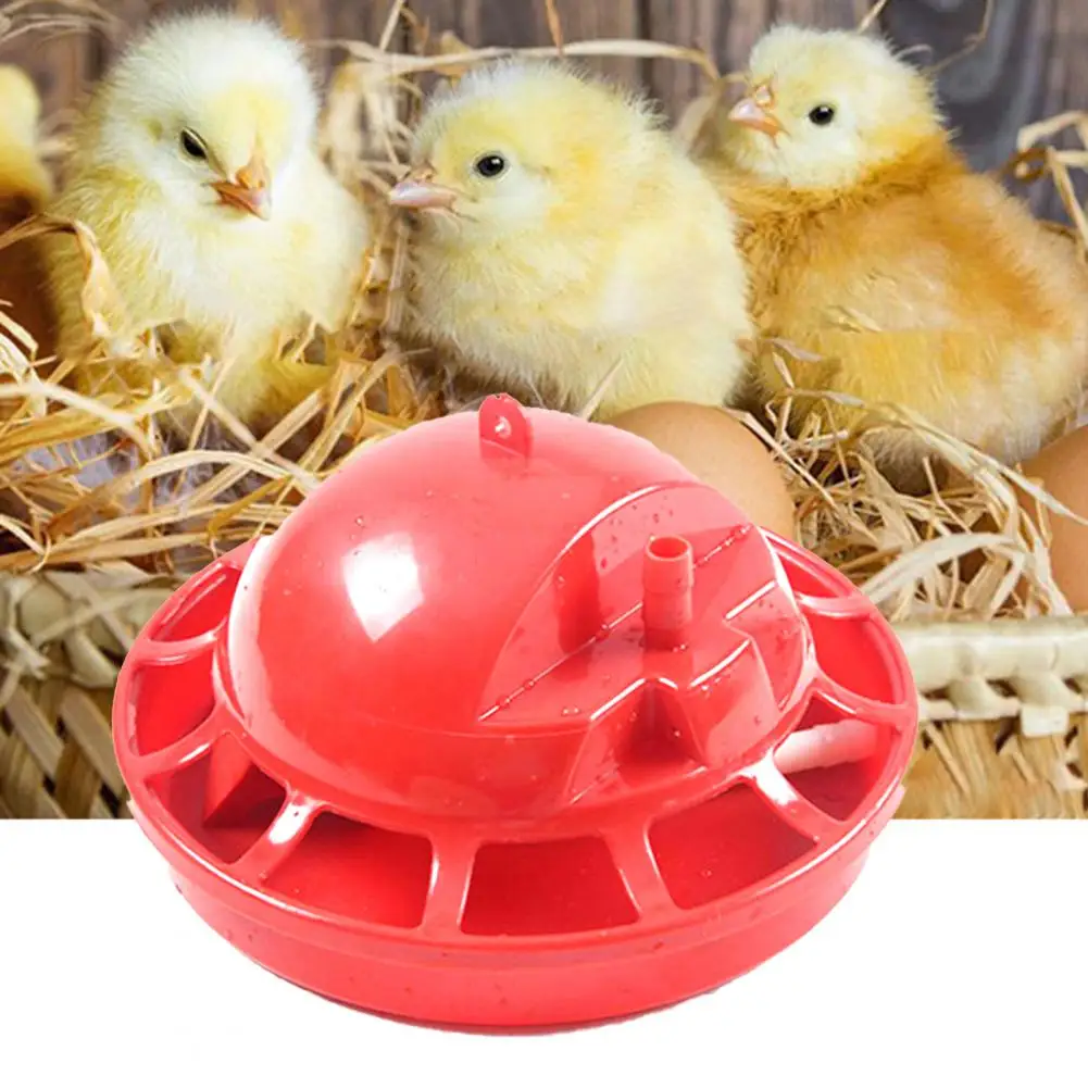 Chick Drinking Bowl Practical Plastic Easy to Use Detachable Poultry Waterer for Chick Water Feeder Poultry Waterer
Chick Drinking Bowl Practical Plastic Easy to Use Detachable Poultry Waterer for Chick Water Feeder Poultry Waterer