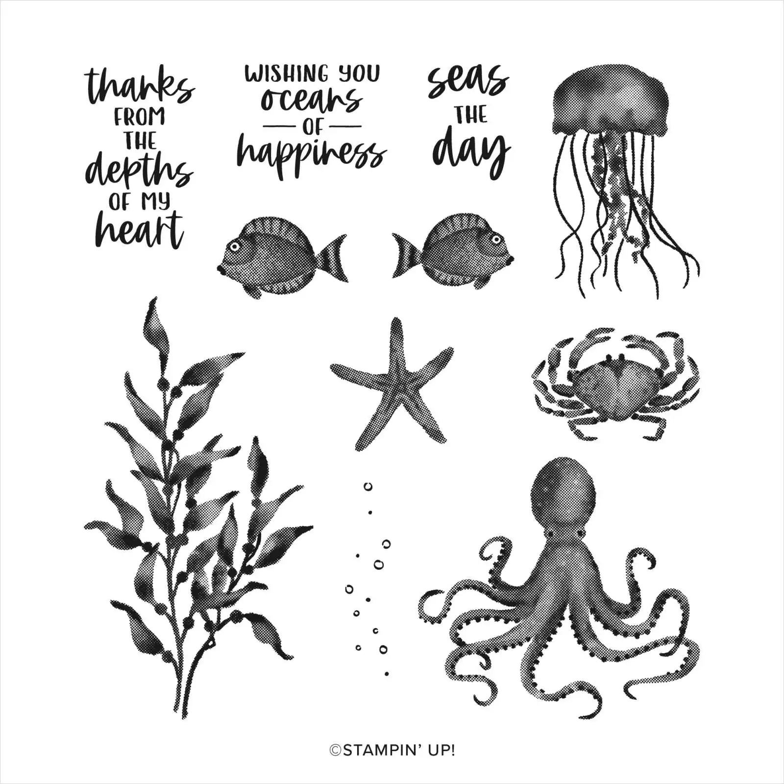 Marine Life Starfish Jellyfish Octopus New Cut Dies and Stamps Set Diy Craft Paper Scrapbooking Album Decoration Embossing Mold
Marine Life Starfish Jellyfish Octopus New Cut Dies and Stamps Set Diy Craft Paper Scrapbooking Album Decoration Embossing Mold