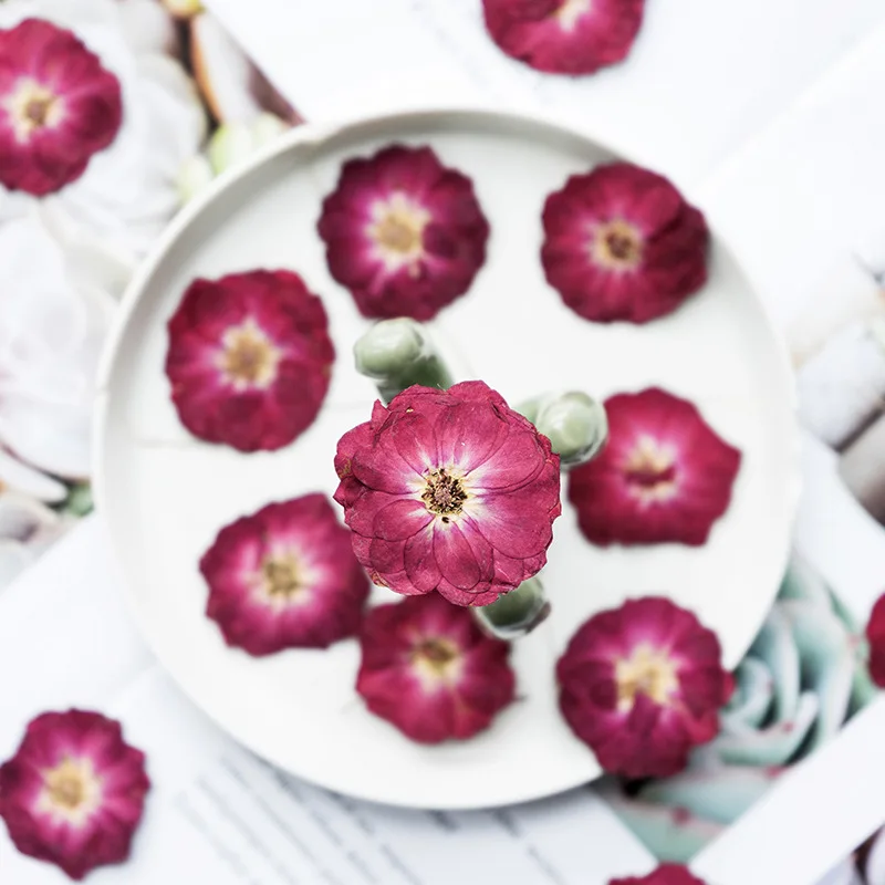 500pcs/bag Natural Rose Pressed Flower For Resin Phone Cover Dried Flower For DIY Art Craft Canlde Soap Scrapbook Home Decor
500pcs/bag Natural Rose Pressed Flower For Resin Phone Cover Dried Flower For DIY Art Craft Canlde Soap Scrapbook Home Decor