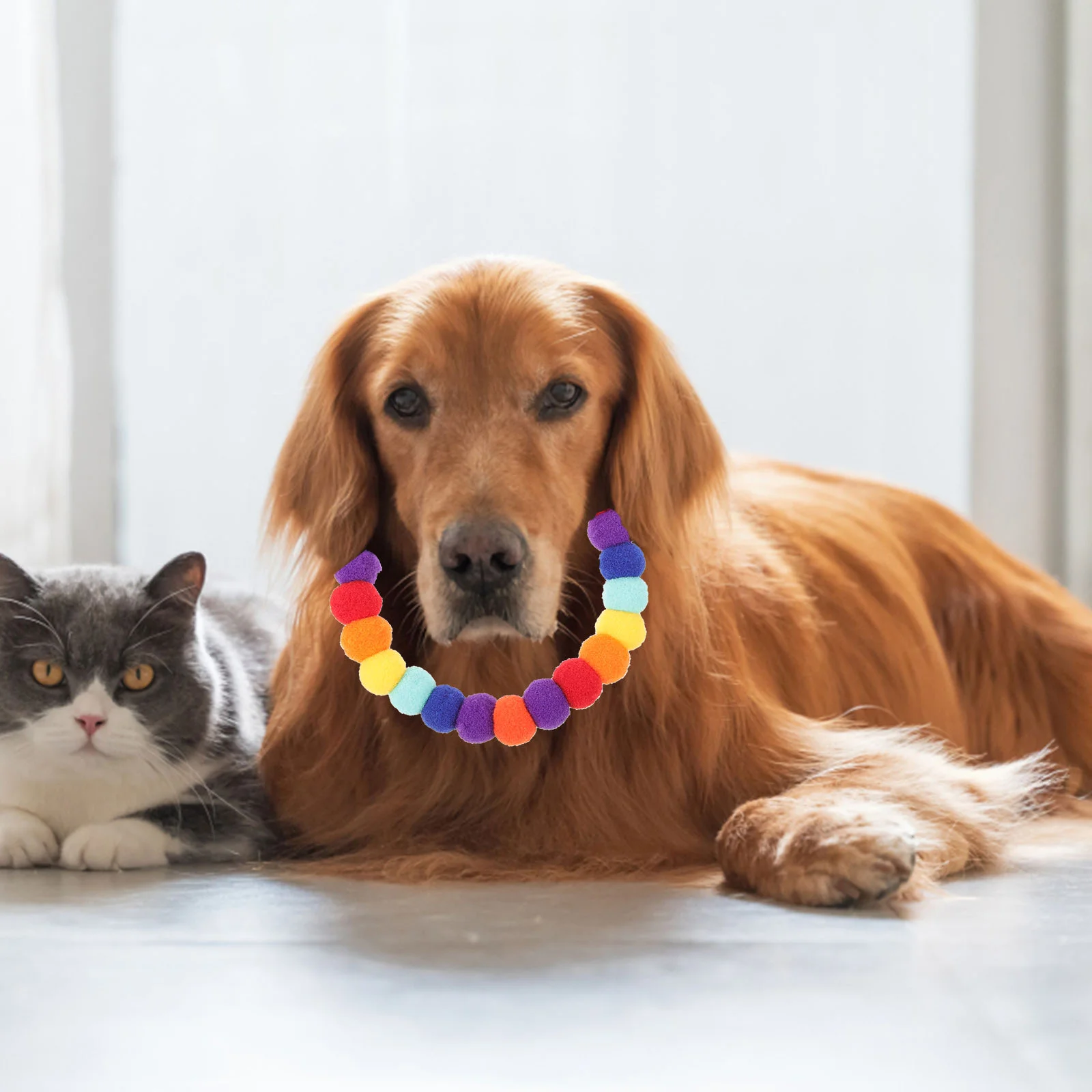 Pet Fur Ball Collar Puppy Dog Necklace Colorful Stylish Design Skin Friendly Collars Small Puppies Girl Pom Polyester
Pet Fur Ball Collar Puppy Dog Necklace Colorful Stylish Design Skin Friendly Collars Small Puppies Girl Pom Polyester