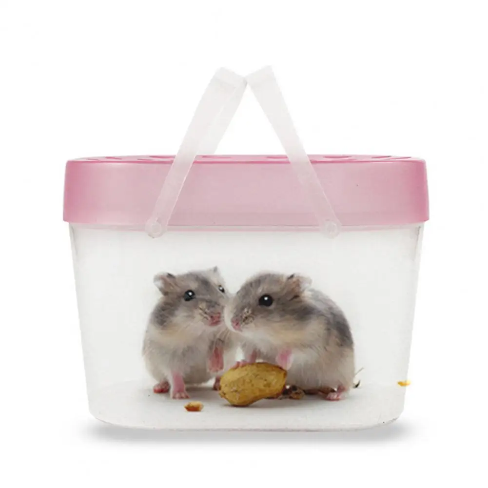 Small Pet Crate Thickened Lid Outdoor Aquarium Animal Hamster Breeding Box Portable Fish Tank Portable Fish Tank
Small Pet Crate Thickened Lid Outdoor Aquarium Animal Hamster Breeding Box Portable Fish Tank Portable Fish Tank
