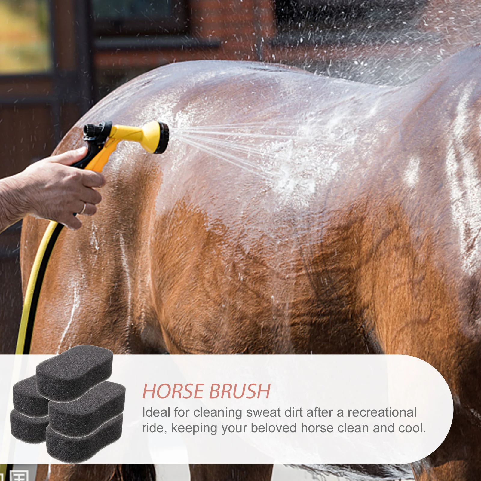 5 Pcs Sponge Scrubber Horse Accessories Grooming Sponges Soft Kids Shampoo Bath Products Cattle Body Cleaning Big Child Suits
5 Pcs Sponge Scrubber Horse Accessories Grooming Sponges Soft Kids Shampoo Bath Products Cattle Body Cleaning Big Child Suits