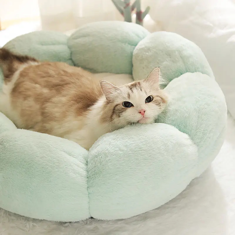 Cat kennel dog kennel four seasons universal cat bed removable and washable warm thickening cat den flower pet den
Cat kennel dog kennel four seasons universal cat bed removable and washable warm thickening cat den flower pet den
