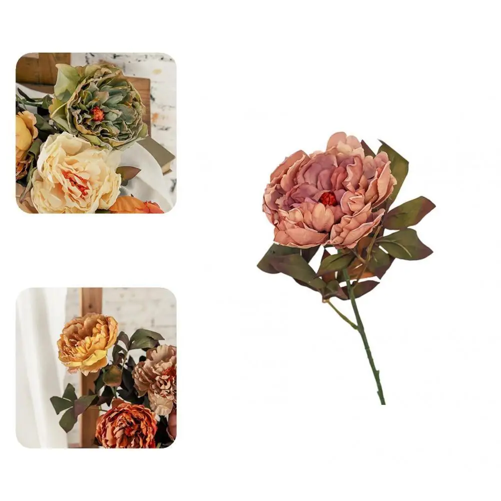 Realistic Looking Faux Silk Flower Artificial Peony Flowers Bouquet Supplies for Living Room
Realistic Looking Faux Silk Flower Artificial Peony Flowers Bouquet Supplies for Living Room