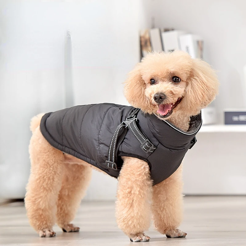Winter Cotton Pet Dog Clothes Vest Warm Dogs Jacket Waterproof Dogs Coat Small Medium Padded Clothing Costume Pet Supplies
Winter Cotton Pet Dog Clothes Vest Warm Dogs Jacket Waterproof Dogs Coat Small Medium Padded Clothing Costume Pet Supplies