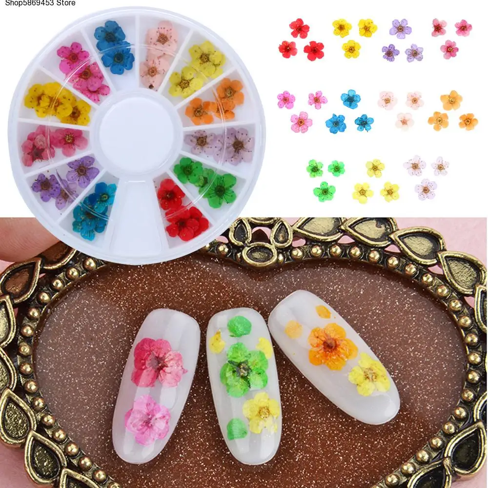 Natural Dry Flowers Set Decals Nail Art 3D Multi Color Floral Slices Gel Polish Decoration DIY Manicure Accessories Hot Selling
Natural Dry Flowers Set Decals Nail Art 3D Multi Color Floral Slices Gel Polish Decoration DIY Manicure Accessories Hot Selling