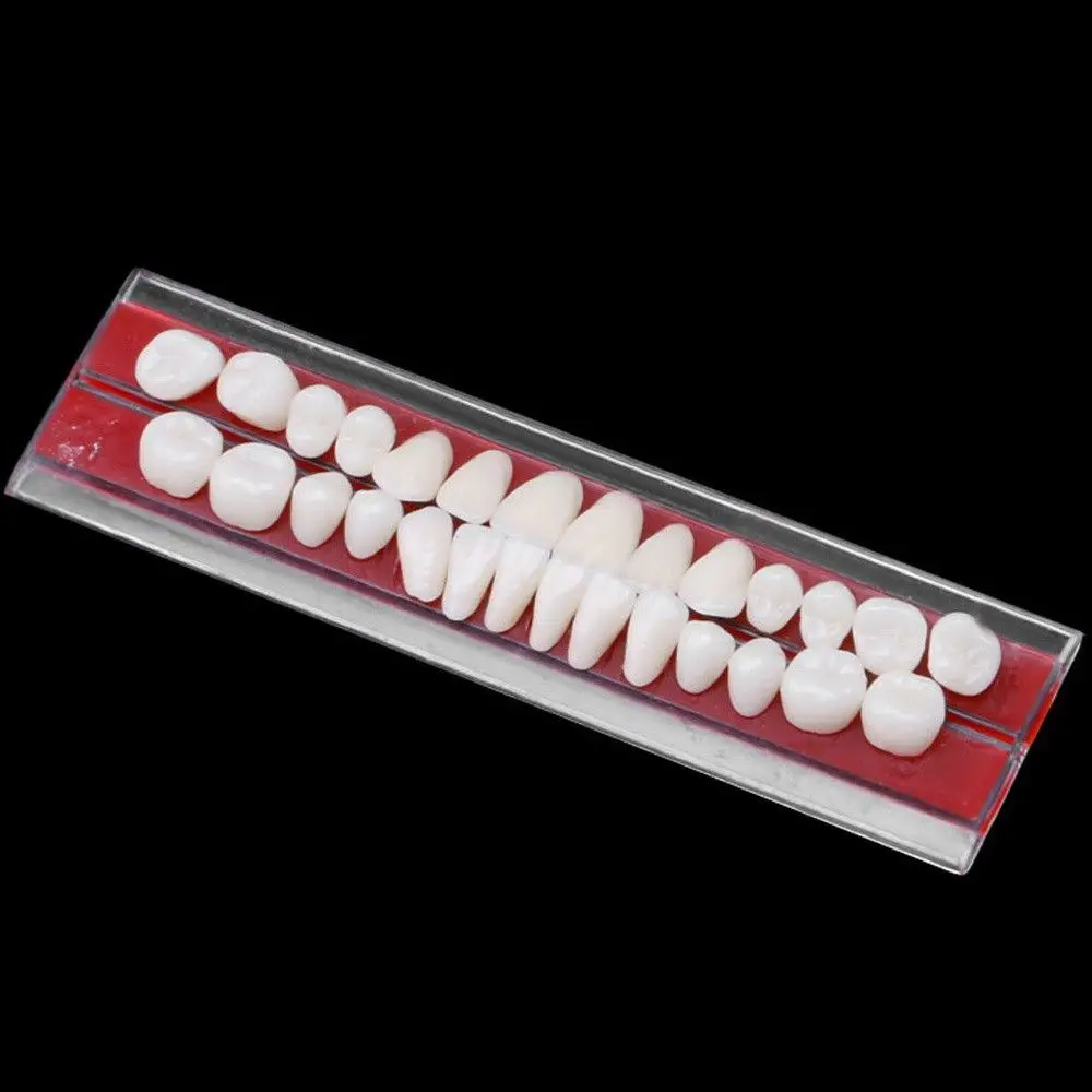 Resin Denture False Teeth Model Comparator Mirror Dentistry Bleaching Dental Plate Research on Dental Education Model
Resin Denture False Teeth Model Comparator Mirror Dentistry Bleaching Dental Plate Research on Dental Education Model