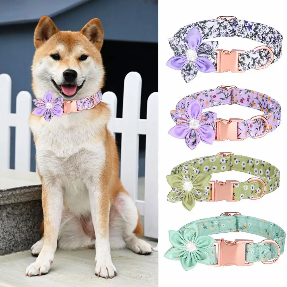 Flexible Beautiful Dog Necklace Collar Removable Dog Necklace Bright Color for Festival
Flexible Beautiful Dog Necklace Collar Removable Dog Necklace Bright Color for Festival