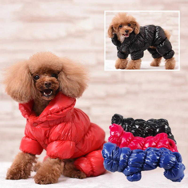 Clothes for Dogs Winter Thick Cotton Dog Clothes Jacket for Dogs Water Proof Hooded Shirt Dog Coats Puppy Clothes 2022 Jackets
Clothes for Dogs Winter Thick Cotton Dog Clothes Jacket for Dogs Water Proof Hooded Shirt Dog Coats Puppy Clothes 2022 Jackets