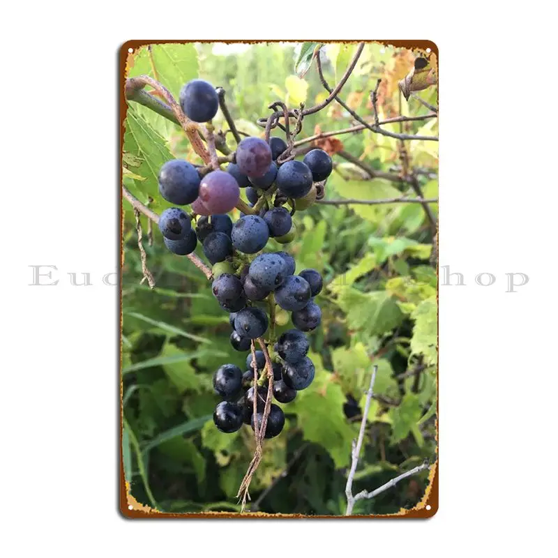 Wild Grapes Metal Plaque Club Party Living Room Bar Iron Design Pub Tin Sign Poster
Wild Grapes Metal Plaque Club Party Living Room Bar Iron Design Pub Tin Sign Poster