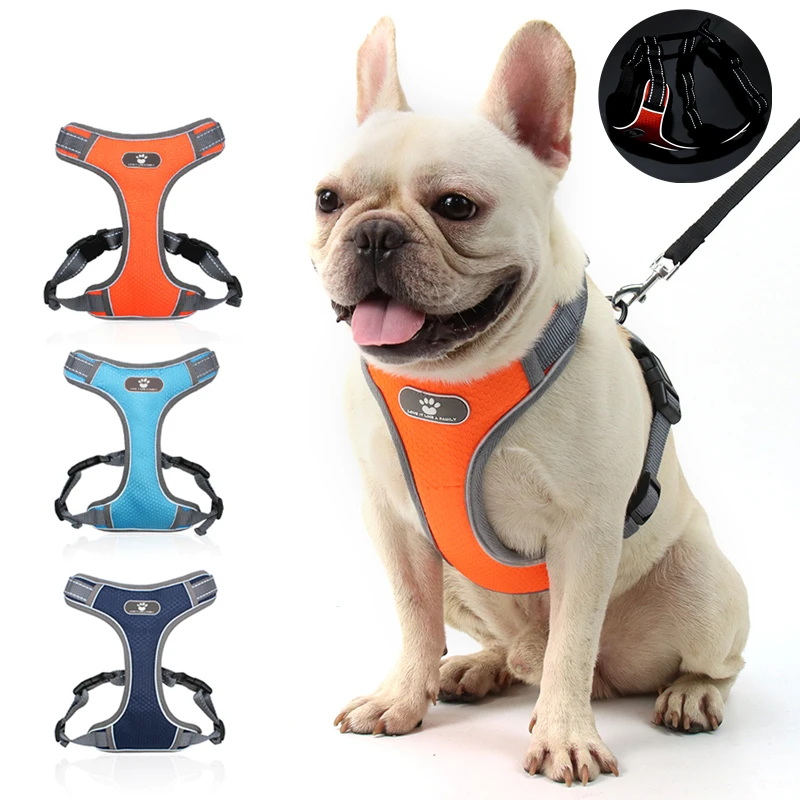 Pets Dog Harness and Leash Set Chest for Dogs Belt Reflective Vest Small Dogs Puppy Cat Medium Big Dog Harness Pet Accessories
Pets Dog Harness and Leash Set Chest for Dogs Belt Reflective Vest Small Dogs Puppy Cat Medium Big Dog Harness Pet Accessories