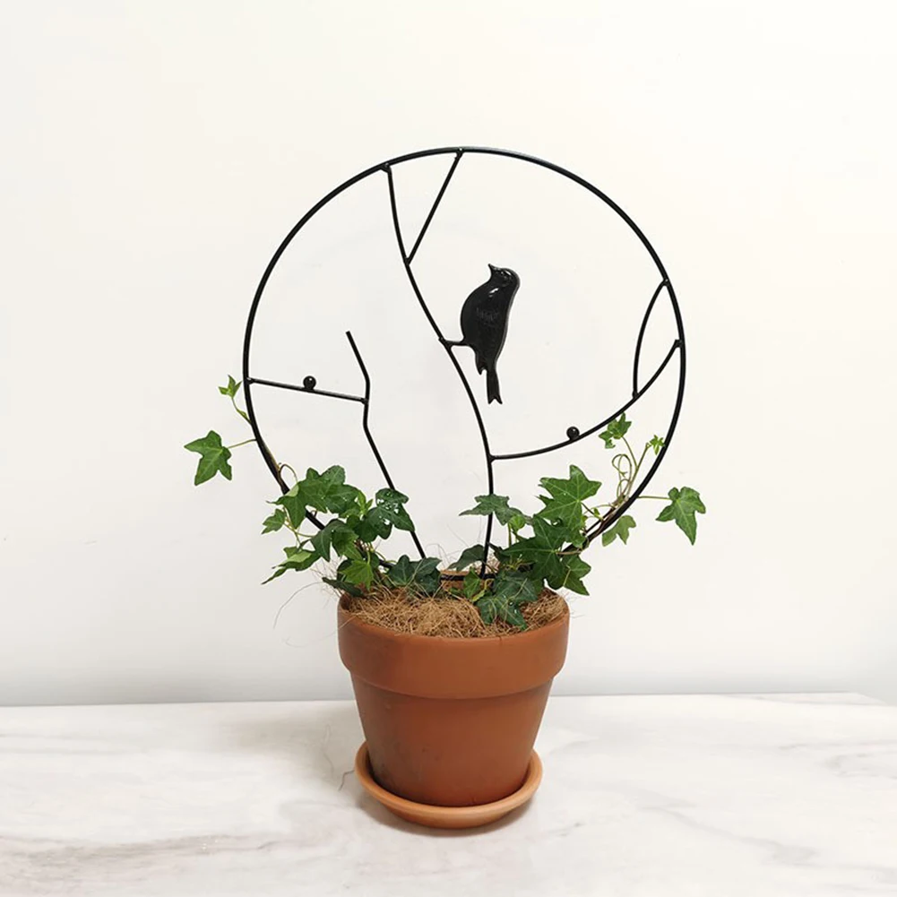 Iron Round Bird Shaped Garden Plant Support Stake Stand Metal Plant Trellis Climbing Holder Rack For Potted Climbing Plant Vine
Iron Round Bird Shaped Garden Plant Support Stake Stand Metal Plant Trellis Climbing Holder Rack For Potted Climbing Plant Vine