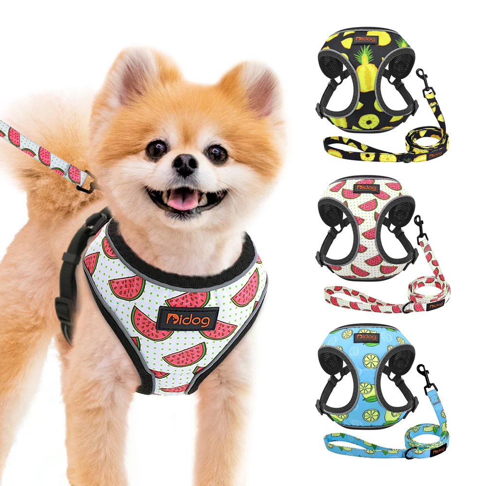 

Reflective Nylon Dog Harness Leash Set Print Pet Mesh Harness Vest Adjustable 5ft Leash for Small Medium Large Dogs Chihuahua