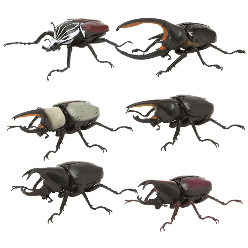Spot Bandai Decoration Beetle Insect Simulation Allomyrina Dichotoma Goliath Beetles Animal and Insect Collection Ornaments
Spot Bandai Decoration Beetle Insect Simulation Allomyrina Dichotoma Goliath Beetles Animal and Insect Collection Ornaments