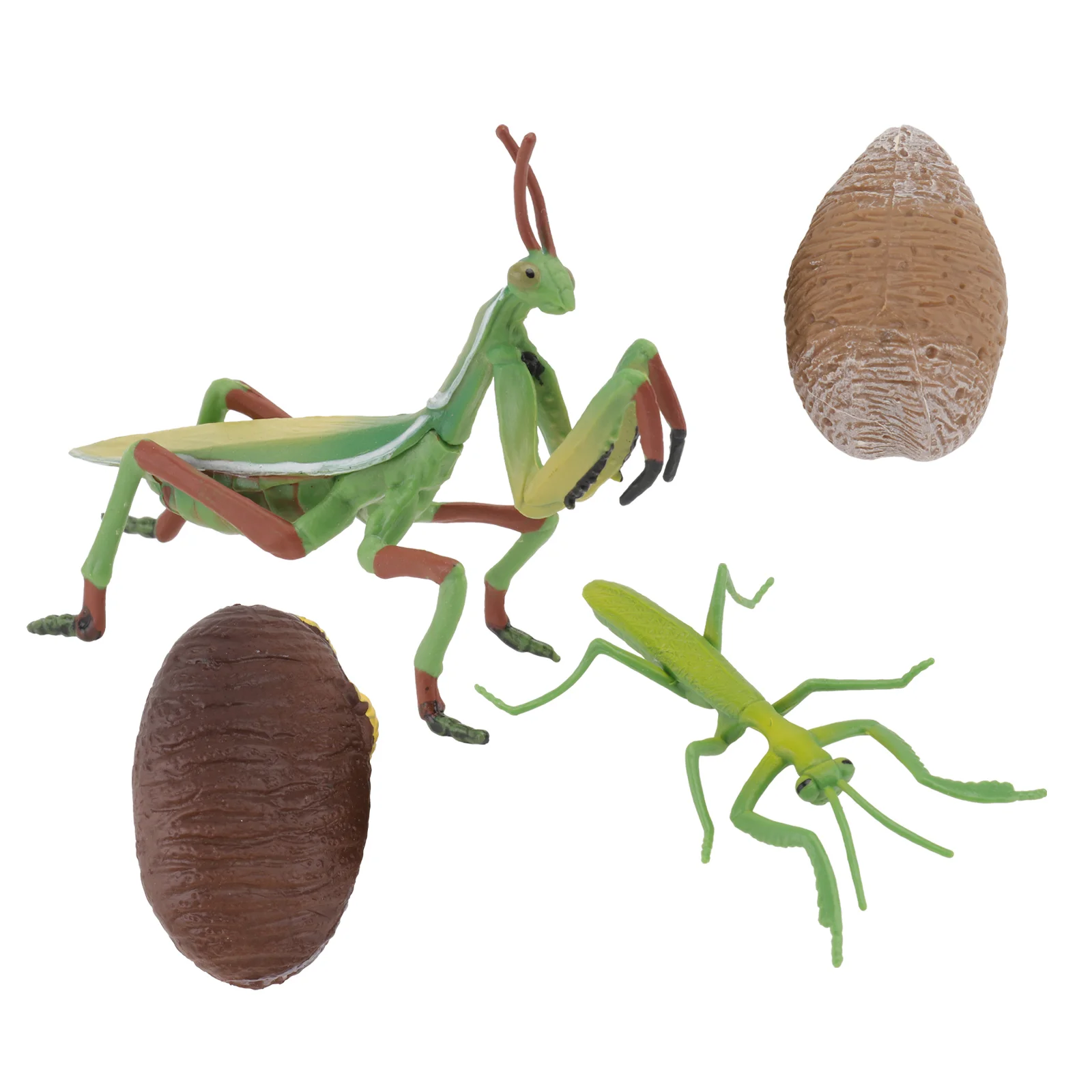 1 Set Simulated Grasshopper Manties Simulated Animal Model (Assorted Color) 
1 Set Simulated Grasshopper Manties Simulated Animal Model (Assorted Color)