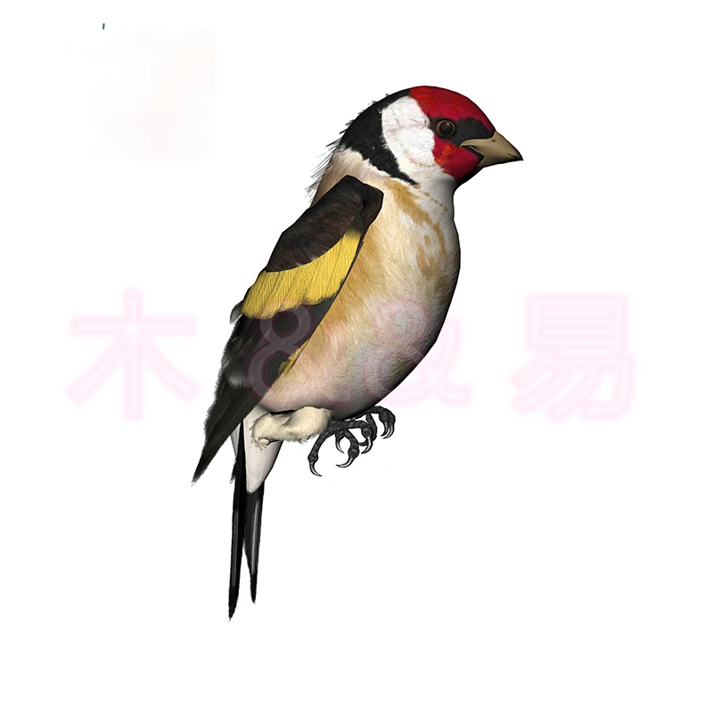 Creativity Canary Bird Car Sticker Cartoon DIY Decal Refrigerator Windshield Waterproof Bumper Vinyl Car Wrap Car AccessoriesPVC
Creativity Canary Bird Car Sticker Cartoon DIY Decal Refrigerator Windshield Waterproof Bumper Vinyl Car Wrap Car AccessoriesPVC