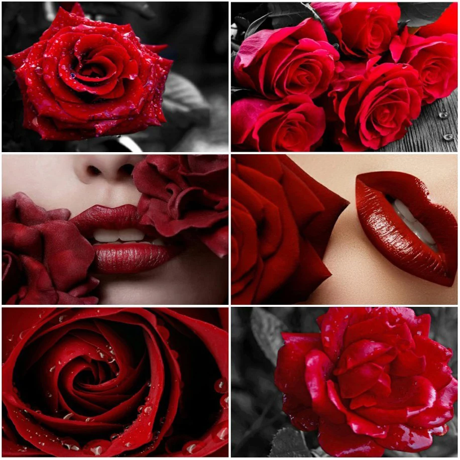Square Diamond Painting Red Rose and Red Lip Diamond Embroidery Flowers Picture of Rhinestones Handmade Art Mosaic Wall Decor
Square Diamond Painting Red Rose and Red Lip Diamond Embroidery Flowers Picture of Rhinestones Handmade Art Mosaic Wall Decor