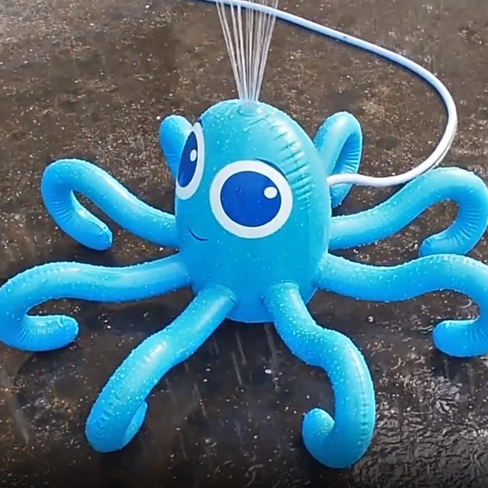 Iatable Sprinkler Iatable Octopus Outdoor Water ToysIatable Water Sprinkler For Kids Adults Yard Outdoor Play Summer
Iatable Sprinkler Iatable Octopus Outdoor Water ToysIatable Water Sprinkler For Kids Adults Yard Outdoor Play Summer